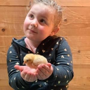 Meet your Posher, Jordan